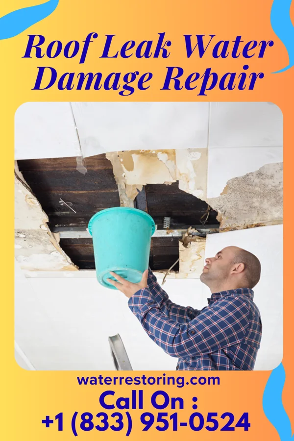 Roof Leak Water Damage Repair in Española, NM